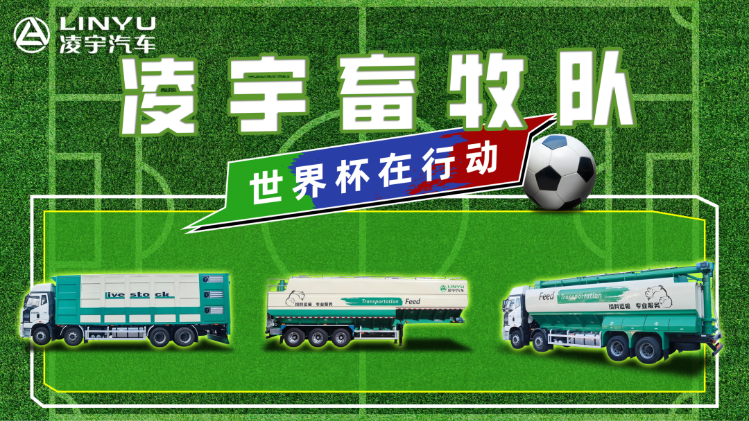 奪冠世界杯！你注意到這支球隊了嗎？